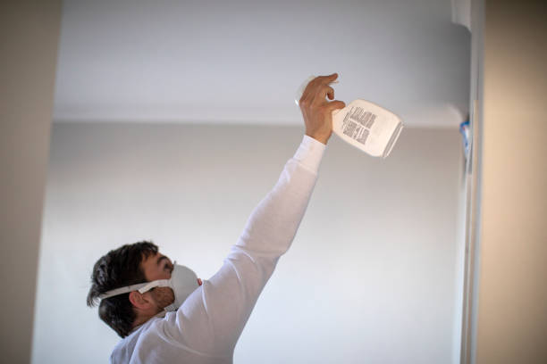 Best Attic Mold Removal  in Dexter, MI