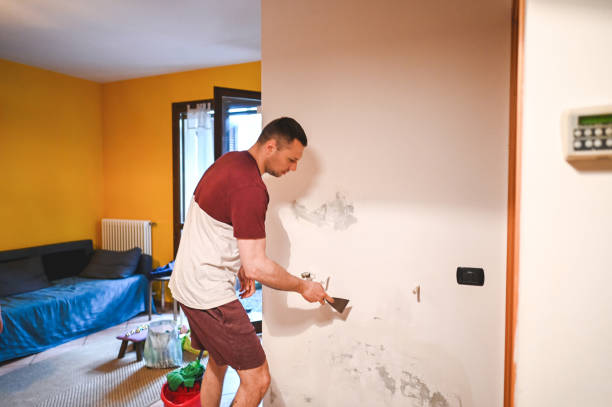 Professional Mold Removal in Dexter, MI